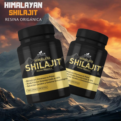 SHILAJIT 60cap
